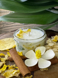 Sojová svíčka vanilka orchidej 70 ML